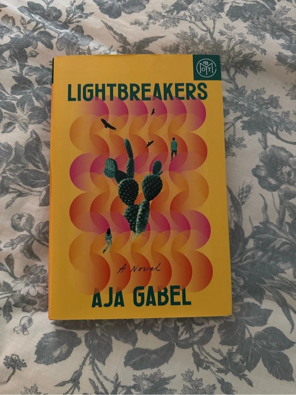 Lightbreakers Novel by Aja Gabel